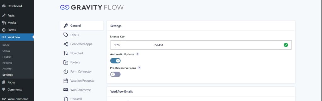 This image shows the license key setting inside WordPress dashboard